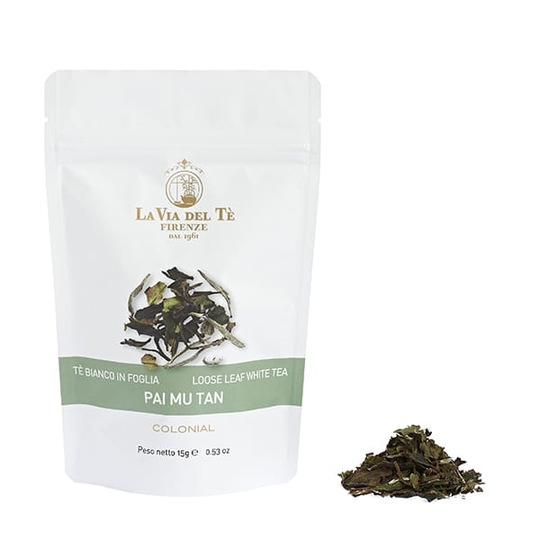 pai11.jpg