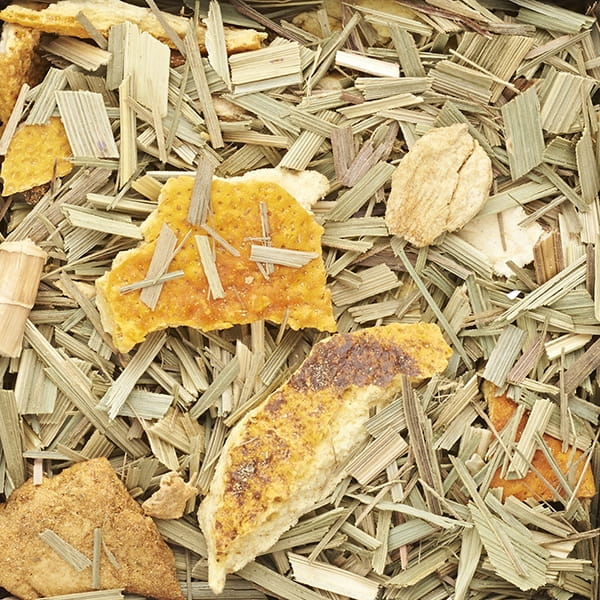 gingert3.jpg