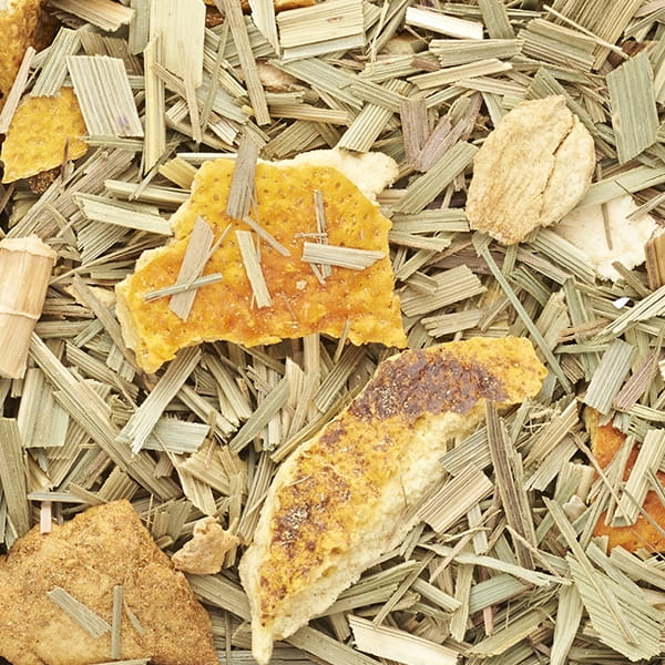 ginger2.jpg